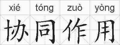协同作用的拼音