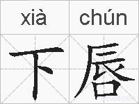 下唇的拼音