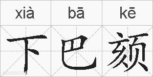 下巴颏的拼音