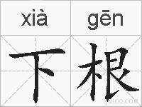 下根的拼音