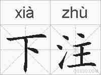下注的拼音