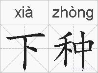 下种的拼音