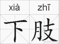 下肢的拼音