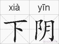下阴的拼音