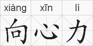 向心力的拼音