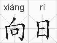 向日的拼音