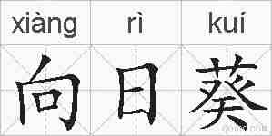 向日葵的拼音