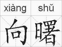 向曙的拼音
