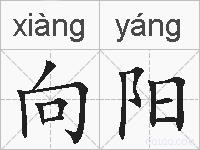 向阳的拼音
