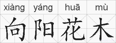 向阳花木的拼音
