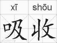 吸收的拼音