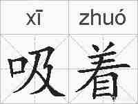 吸着的拼音