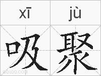 吸聚的拼音