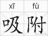 吸附的拼音