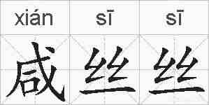 咸丝丝的拼音