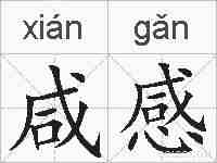咸感的拼音