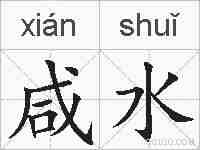 咸水的拼音