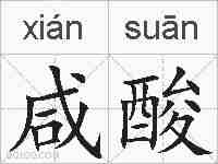 咸酸的拼音