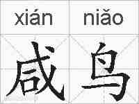 咸鸟的拼音