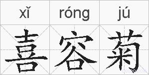 喜容菊的拼音