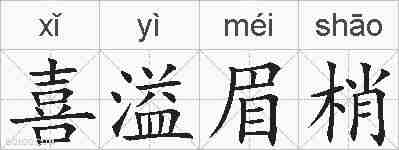 喜溢眉梢的拼音