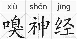 嗅神经的拼音