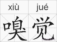 嗅觉的拼音