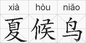 夏候鸟的拼音