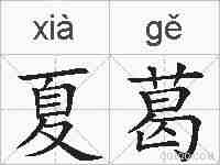 夏葛的拼音