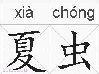 夏虫的拼音