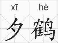 夕鹤的拼音