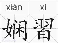 娴習的拼音