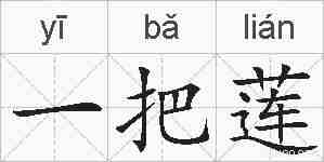 一把莲的拼音