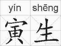 寅生的拼音