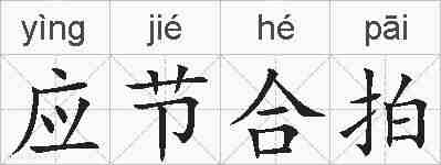 应节合拍的拼音