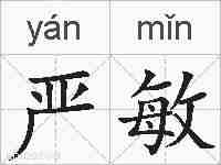 严敏的拼音