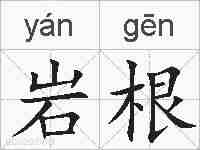 岩根的拼音
