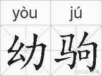 幼驹的拼音