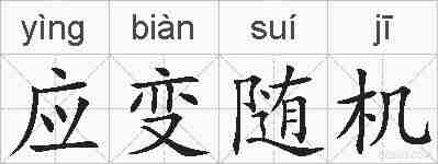 应变随机的拼音