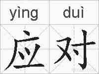 应对的拼音