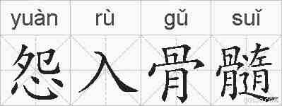 怨入骨髓的拼音