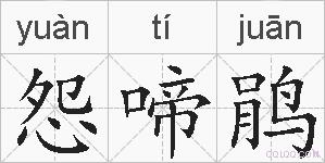 怨啼鹃的拼音