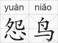 怨鸟的拼音