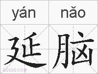 延脑的拼音