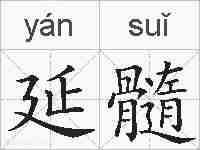 延髓的拼音
