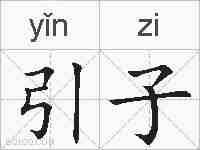 引子的拼音