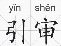 引审的拼音