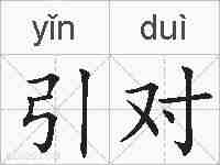 引对的拼音