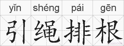 引绳排根的拼音