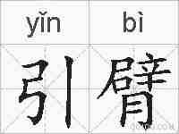 引臂的拼音